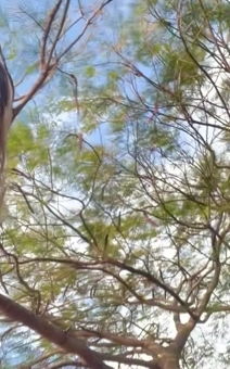 Thumbnail for Pending Promise 012