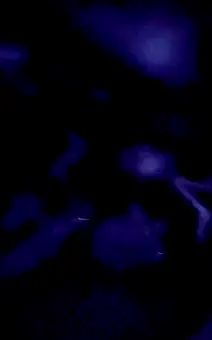 Marathon commitment 10