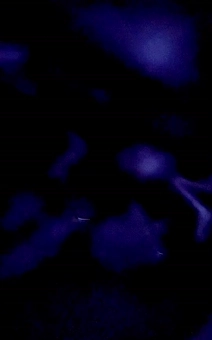 Thumbnail for Pending Promise 010